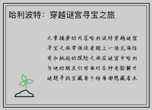 哈利波特：穿越谜宫寻宝之旅